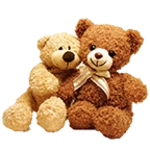 teddy bear live wallpaper android application logo